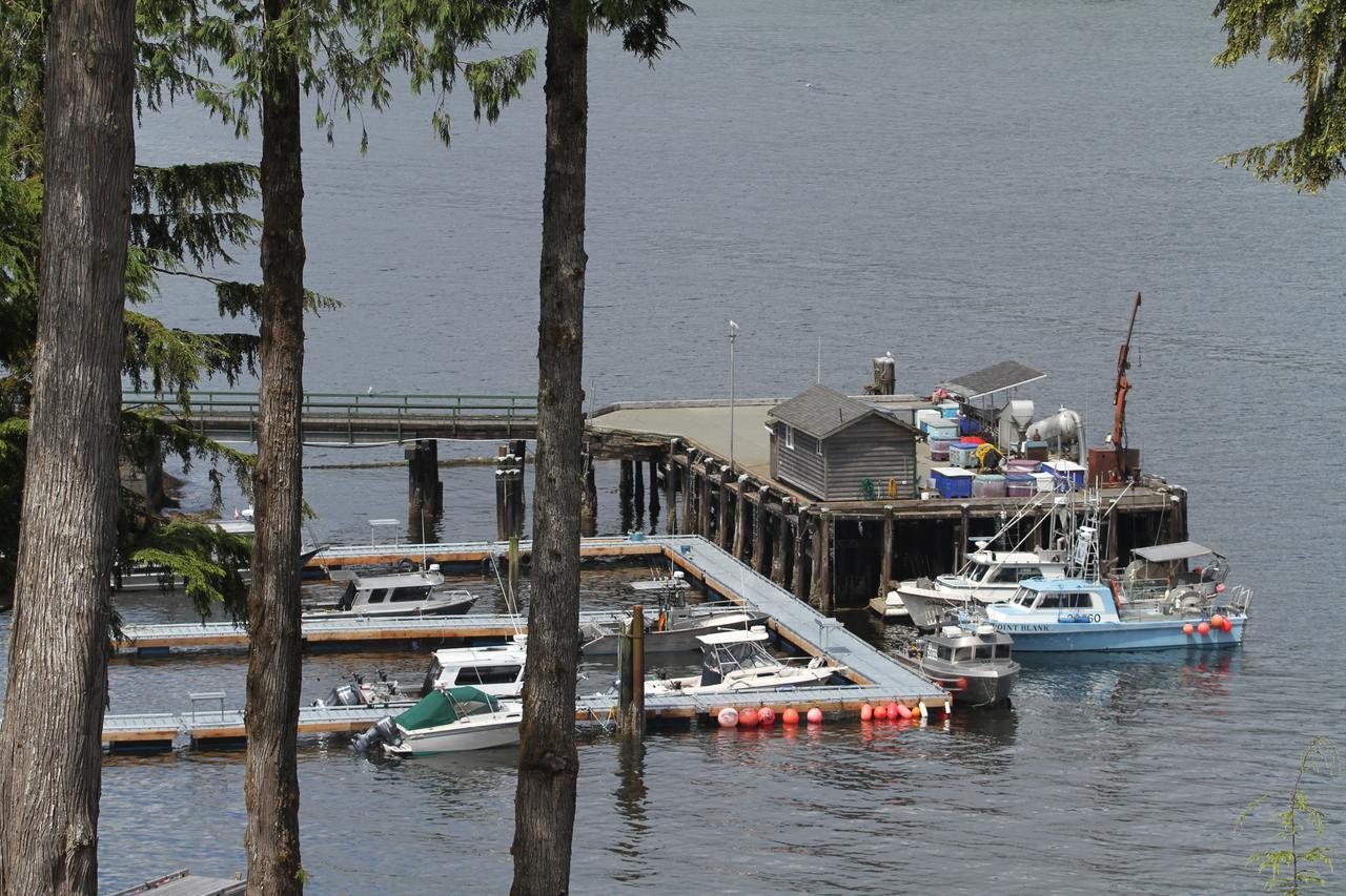 Tilby'S Rainbow Cottage Port Renfrew Ngoại thất bức ảnh
