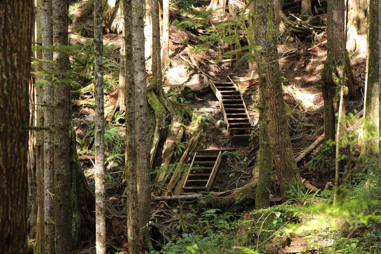 Tilby'S Rainbow Cottage Port Renfrew Ngoại thất bức ảnh