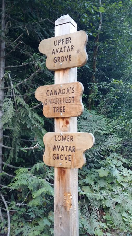 Tilby'S Rainbow Cottage Port Renfrew Ngoại thất bức ảnh