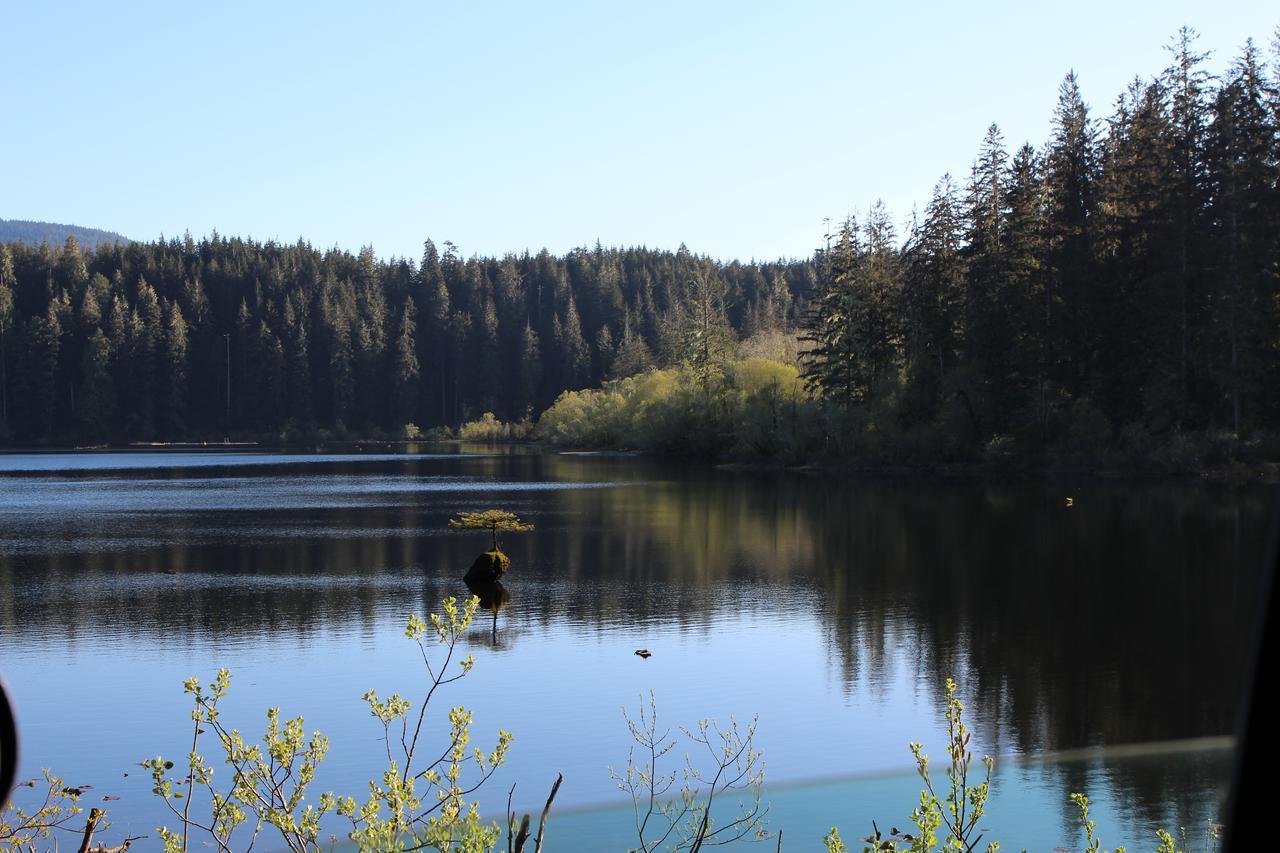 Tilby'S Rainbow Cottage Port Renfrew Ngoại thất bức ảnh